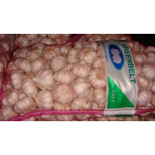 Exportar nuevo cultivo Pure White Chinese White Garlic